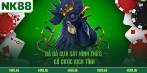 Đá Gà Cựa Sắt - Hình Thức Cá Cược Kịch Tính Không Nên Bỏ Lỡ