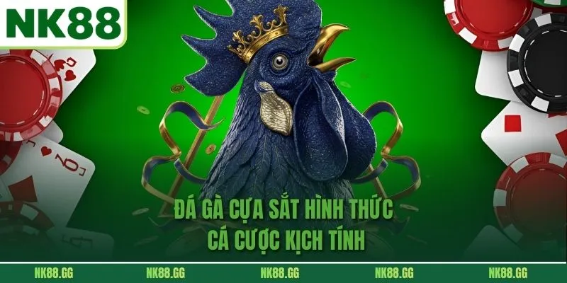 Đá Gà Cựa Sắt - Hình Thức Cá Cược Kịch Tính Không Nên Bỏ Lỡ