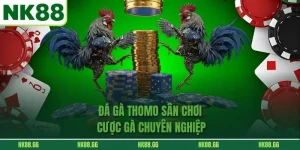 Đá Gà Thomo Sân Chơi Cược Gà Chuyên Nghiệp