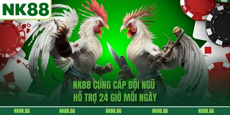 NK88 cung cấp đội ngũ hỗ trợ 24 giờ mỗi ngày